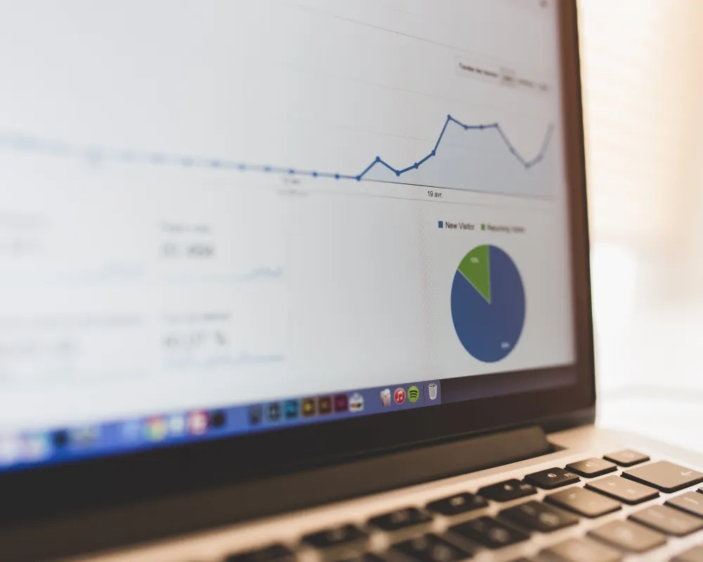 Organic SEO Services