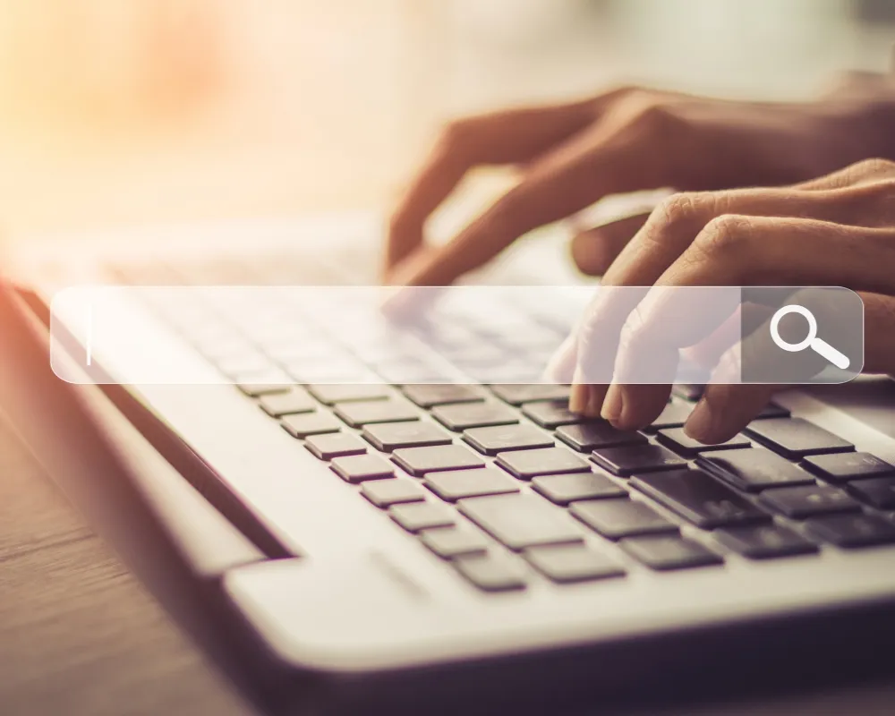 abbotsford seo consultant