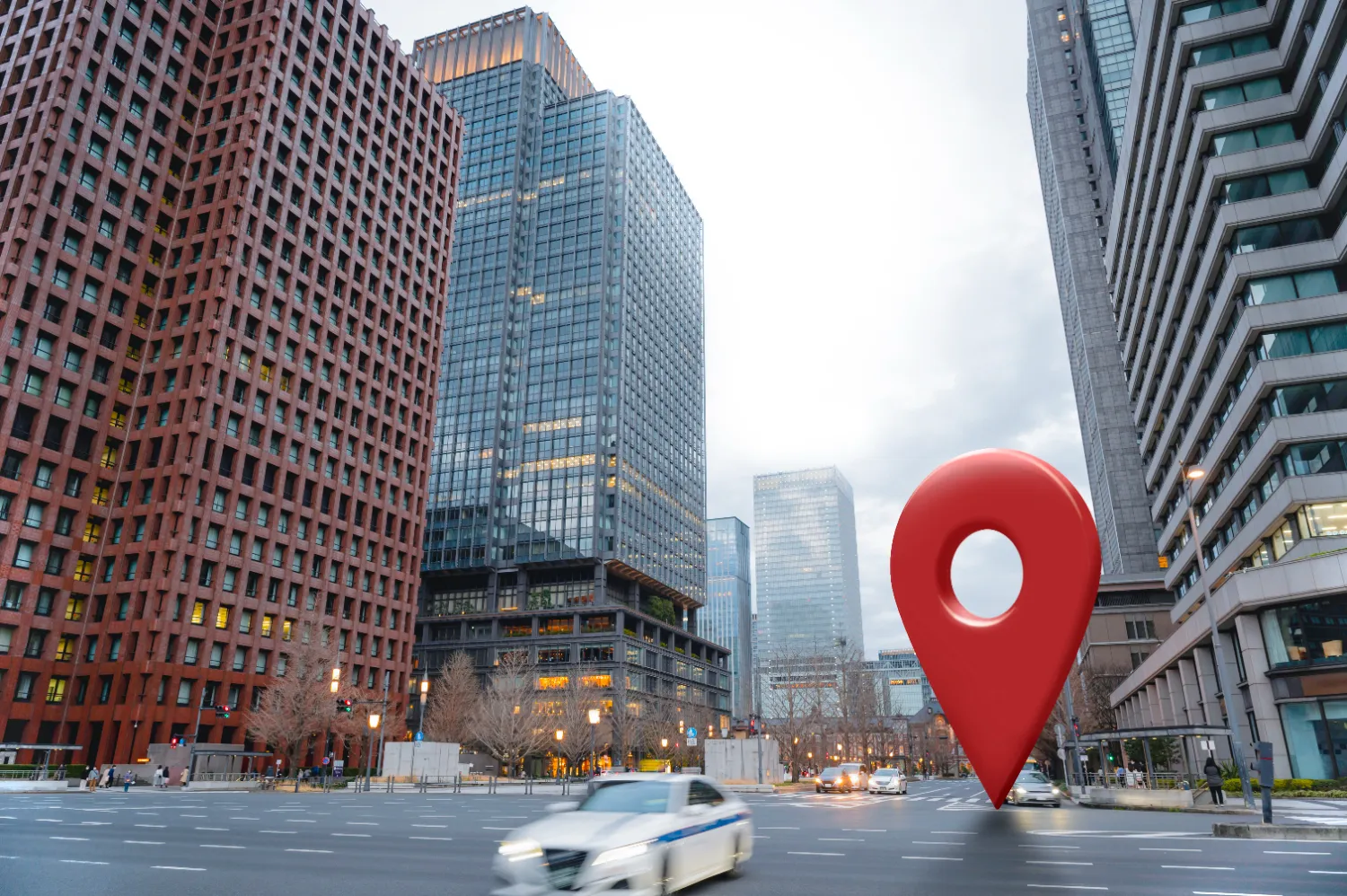 affordable local seo solution