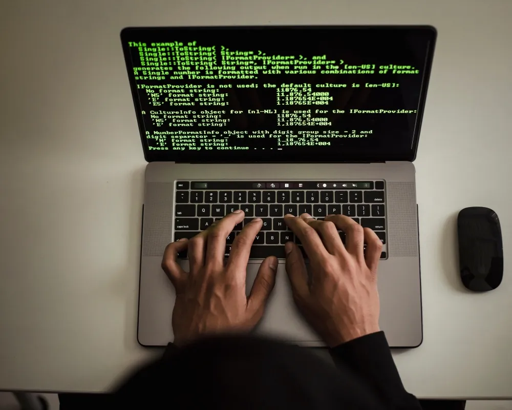 custom software application development services
