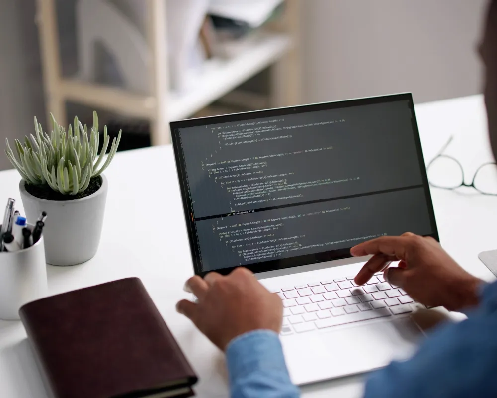 custom web design services