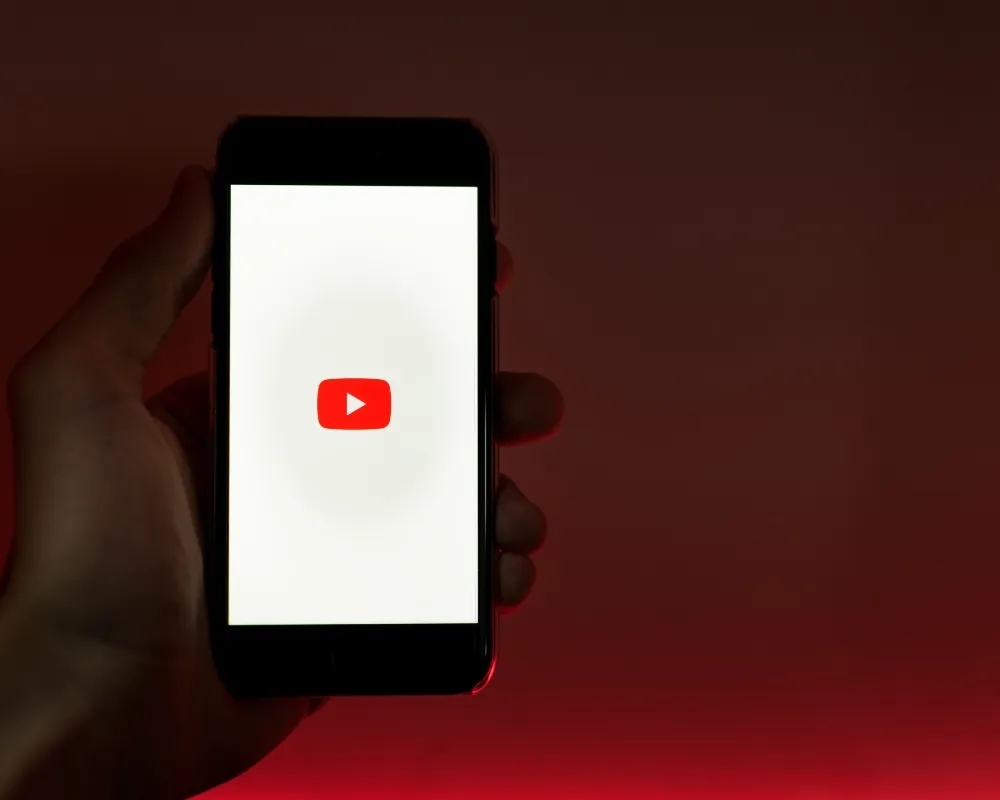 professional youtube seo